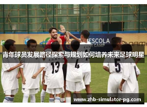 青年球员发展路径探索与规划如何培养未来足球明星